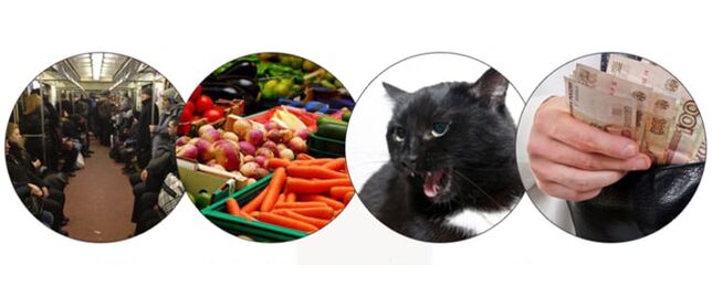 Sposoby zarażenia pasożytami