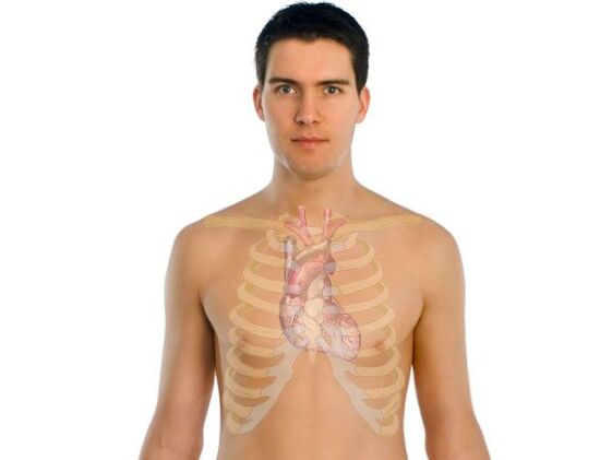 jak pasożyty wpływają na narządy ludzkie