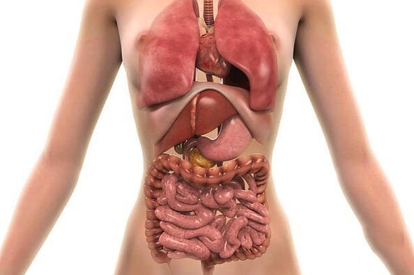 pasożyty w organizmie człowieka